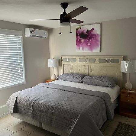 Near French Quarter Nice Two Bedrooms+ نيو أورلينز المظهر الخارجي الصورة